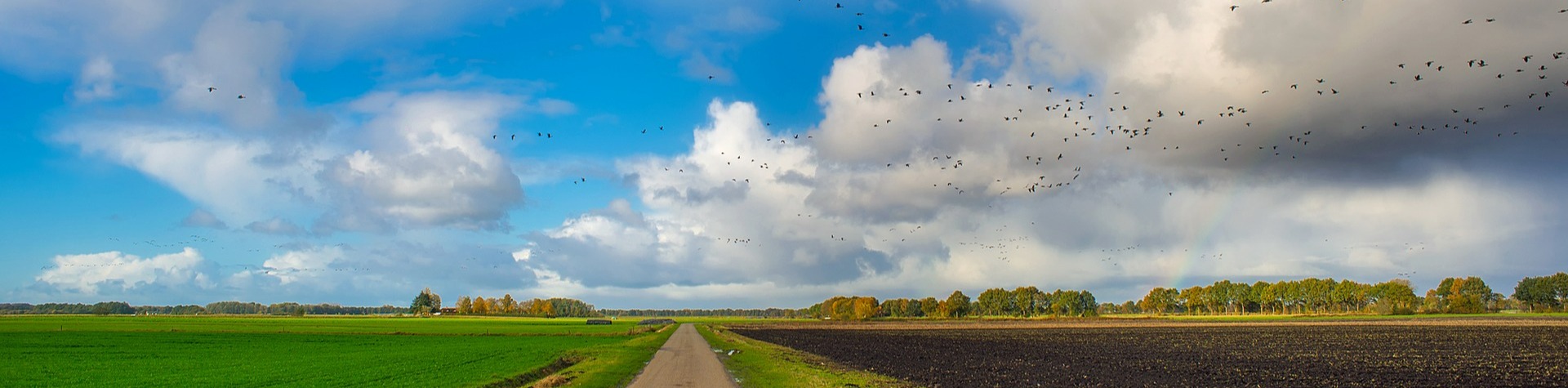 TipBloemendaal